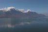 _MG_9595-01.jpg