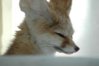 sleepy-rich-2.jpg