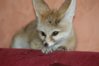 sleepy-rich-3.jpg