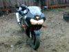 25052008356.jpg