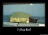 x_6baca2f0.jpg