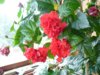 P1010335для интернета.jpg