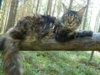 DSCN1706.JPG