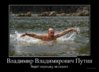 demotivatory-foto_60810_s__15.jpg