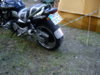 IMGP198111.jpg