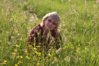 DSCN0067.JPG