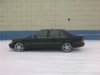 user6419_pic3287_1295502902.jpg