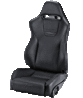 RECARO-Sport-Sportline-leather-black-big.gif