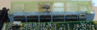 polomkapsd.gif