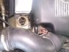 CAM00458.jpg