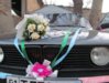 IMG_2067 copy.jpg