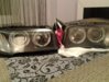 CameraZOOM-20130218244318364.jpg