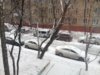 IMG_5597.JPG