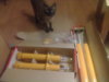 20122012590.jpg