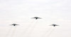DSC_7192.jpg