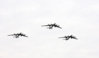 DSC_7304.jpg