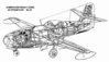 yak23-2.jpg
