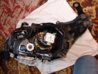 DSC04815.jpg