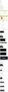MANUAL FOR BMW PAS 4PIN ROSENBERG.jpg