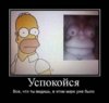 XWQRsVbvQiA.jpg
