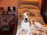 DSCN1549.jpg
