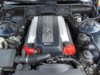 DSCN5419.jpg
