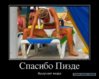 2415907.jpg