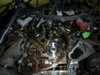377d3227.jpg