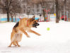0_78142_ced306d7_orig.jpg