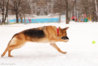 0_78144_d98a7cb3_orig.jpg