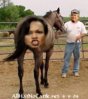 condoleezza-rice.jpg