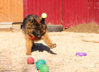 0_794f1_46b93677_orig.jpg