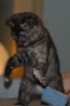 DSC_0037.jpg