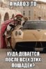 Навоз.jpg