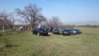 DSC_0382.jpg