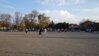 DSC_0456.jpg