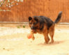 0_7a428_97309569_orig.jpg