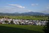 DSC03243.jpg