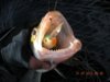 DSCN9440.JPG