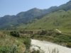 DSC01387.JPG