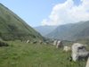 DSC01400.JPG