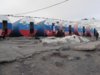 DSC01444.JPG