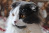 DSC_6289.jpg