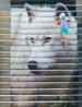 31a663fe7be106f170fdb08b76d_prev.jpg