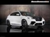 Mansory-BMW-X6-.jpg