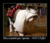 03митпро.jpg