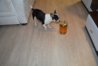 DSC_0009.jpg