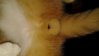 20141002_214856.jpg