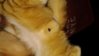 20141002_214826.jpg