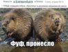 лоыждво.jpg